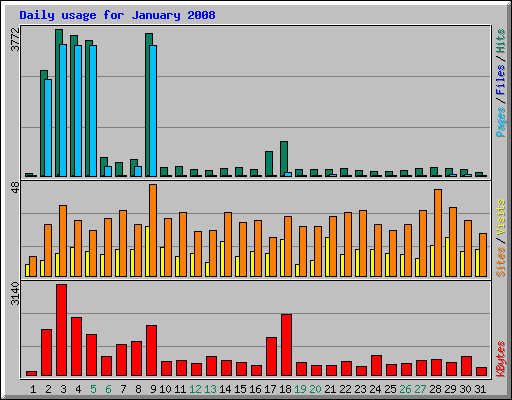 Daily usage for January 2008