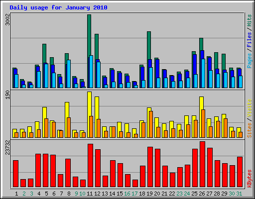 Daily usage for January 2010