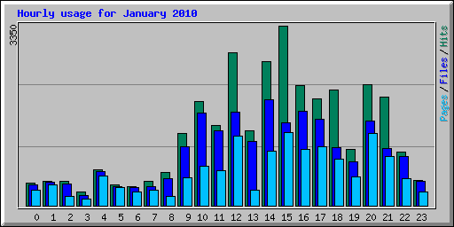 Hourly usage for January 2010