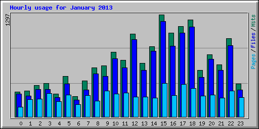 Hourly usage for January 2013